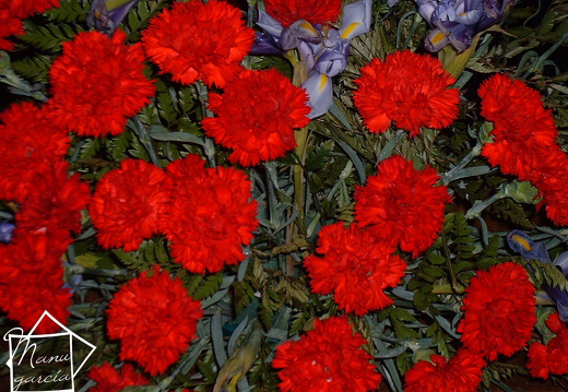 Foto06