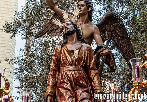 Huerto y Amargura