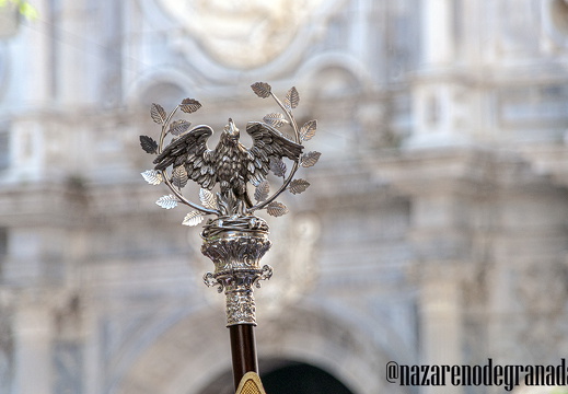 Meditación y Remedios